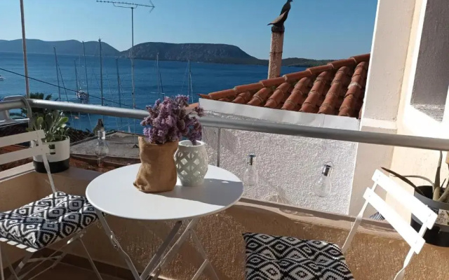 Asterias Studio