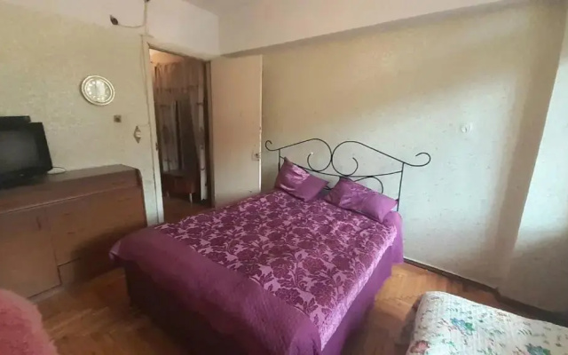 Borjomi,Rustaveli Street 107, 7 Floor