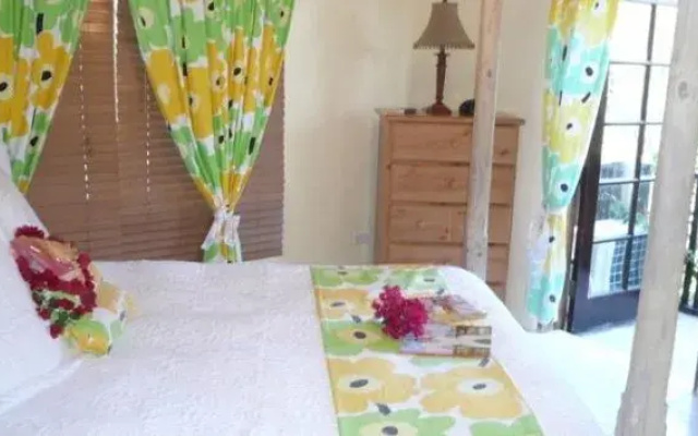 The Sugar Apple B & B