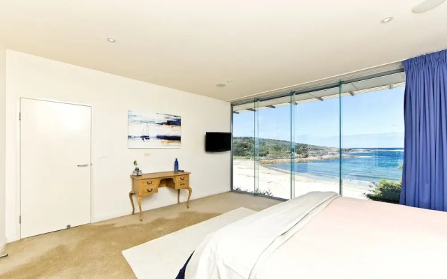 Whale View
