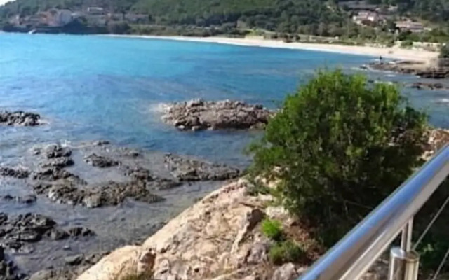 Pacha 2