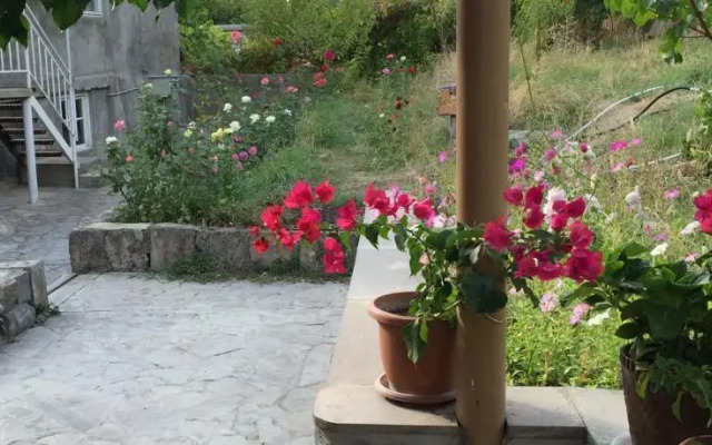 Guest House Topaz