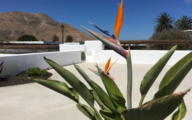 Volcan y Mar