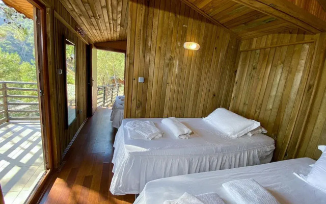 Tree Houses