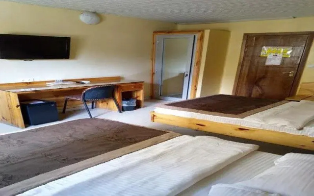 Hotel Du Plateau