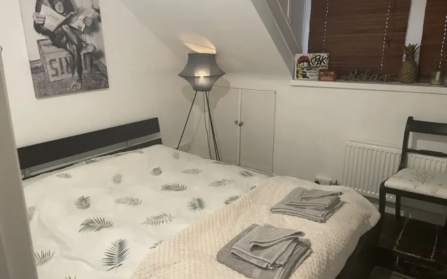 Entire Artistic Open-plan Top Floor Apartment