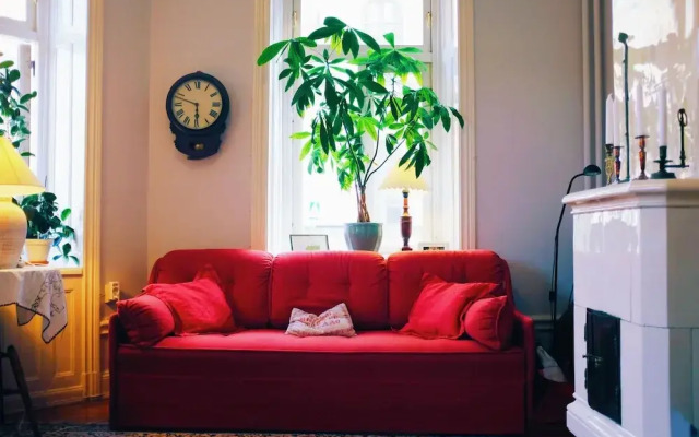 Beautiful, Artistic, Heirloom Apartment