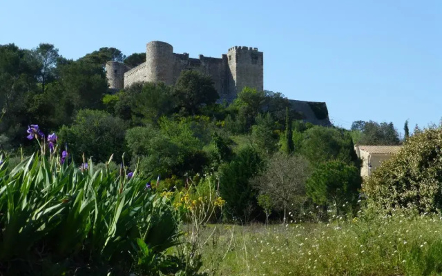 L'Enclos du Micocoulier