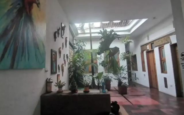 parrot house san antonio