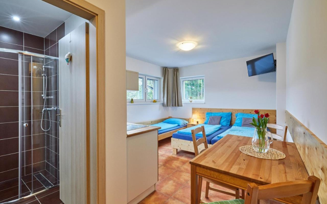 Skipension