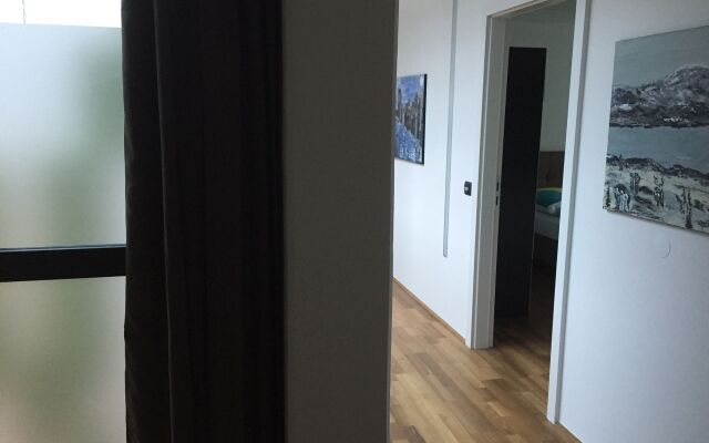 Отель Salzburg City Appartement Зальцбург комната для гостей