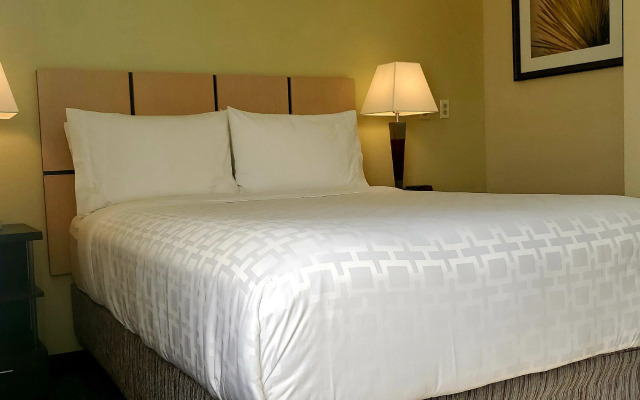 Candlewood Suites Houston Medical Center by IHG