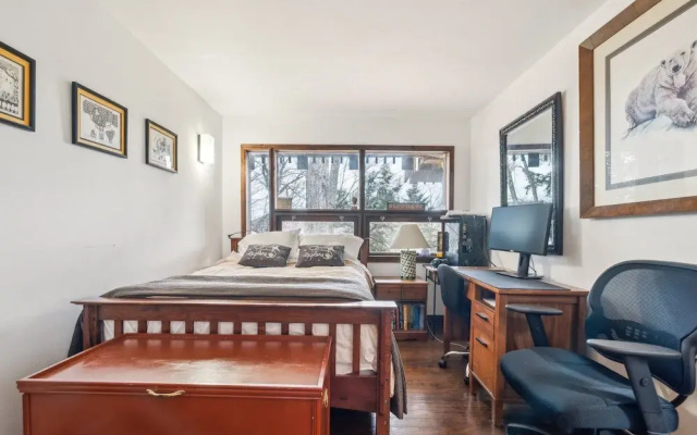 Serene Architect-designed Vermont Chalet 4 Bedroom Home