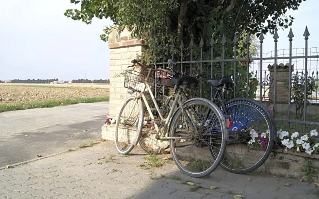 Antico Pioppo