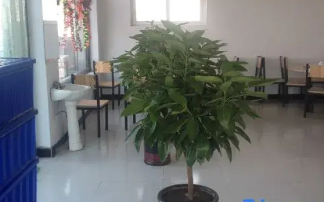 Zhangbei Tianyuan Farm Stay