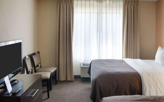 Quality Inn & Suites Niles