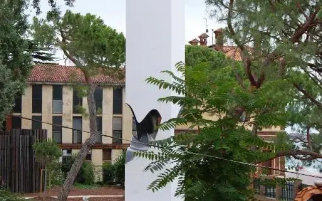 Marinaressa Biennale Terrazza