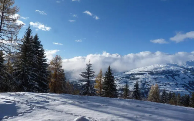 Appartement Les Arcs 1800, 2 pièces, 5 personnes - FR-1-411-23