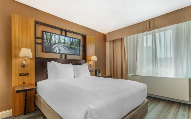 Best Western Queens Gold Coast