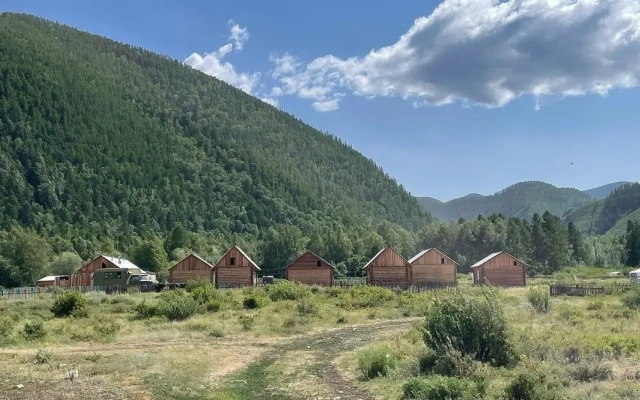 Uurgajlyg