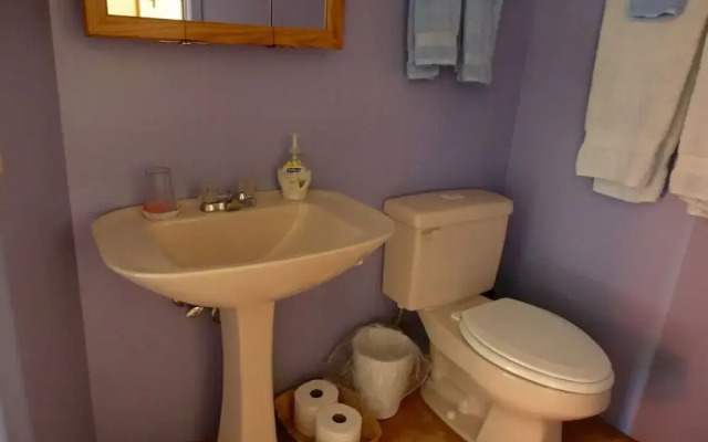 Treehouse Hot Springs - 5 Br Home