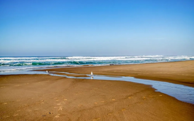 The Lookout