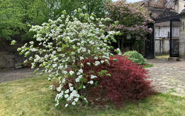 Les Jardins d'Élise, calme et verdure à Lure