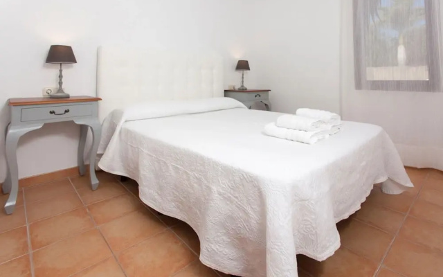 Anahi Home Drago 14