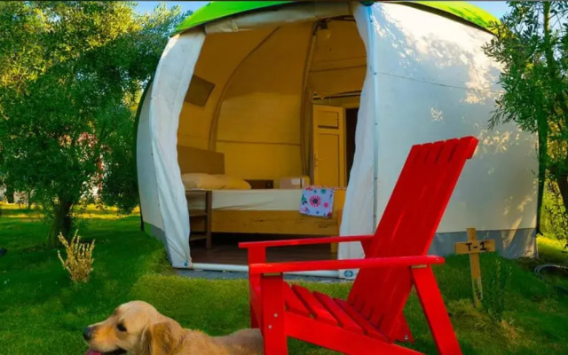 Chingene Glamping