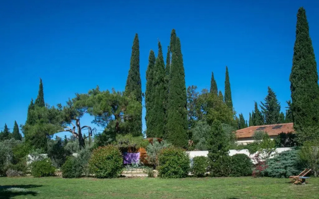 Vintage Provence
