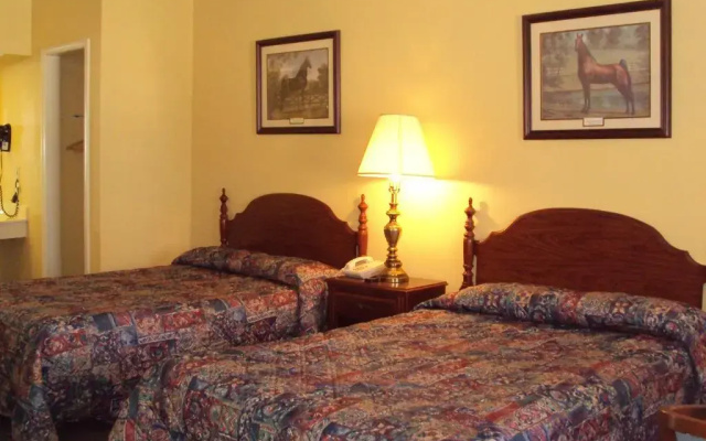 Executive Inn