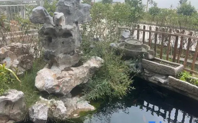 Qinghuan Courtyard Homestay