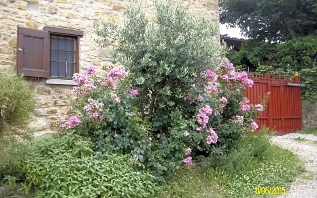 B&b San Nicola