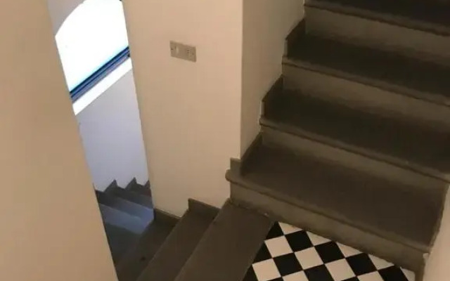 Gatto Bianco Bergamo 9
