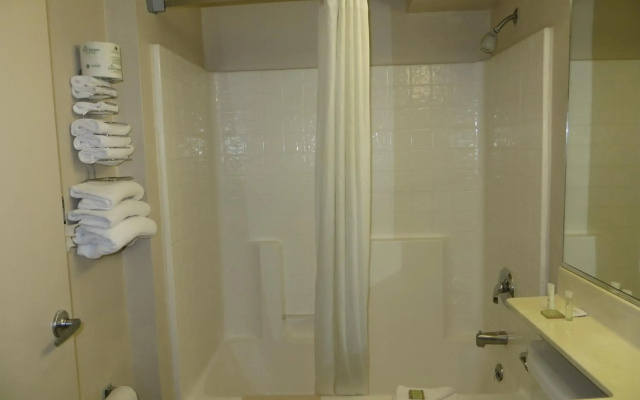 Holiday Inn Express & Suites Millington by IHG