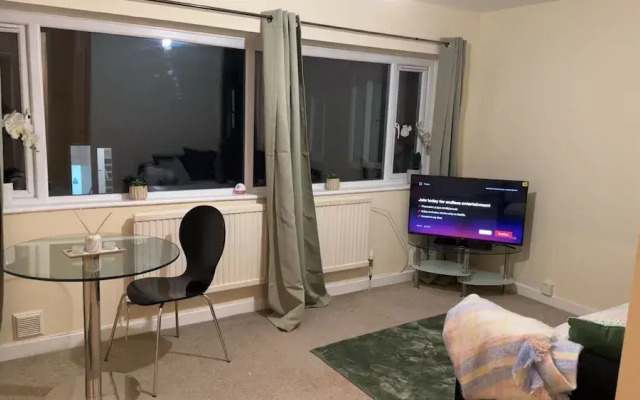 Modern Apt - City Views - Parking - Sleeps 3