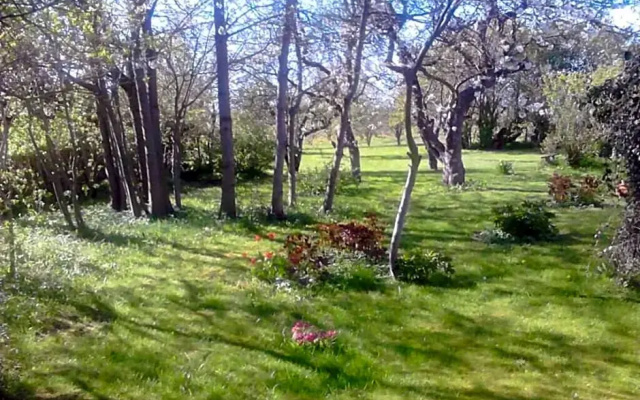 Moen Oekologisk Bed & Breakfast