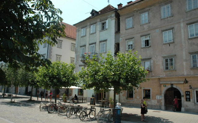 Vitez Apartment I