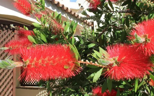 Astrea Smeralda Village