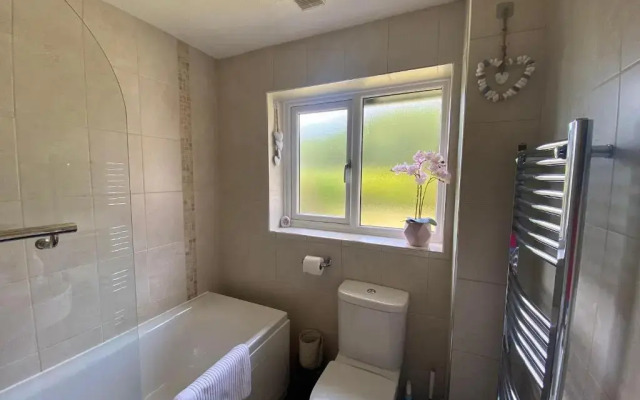Buena Vista