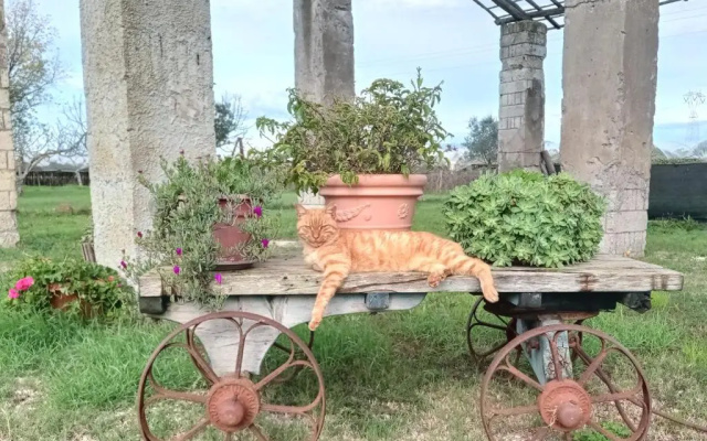 Il Casale di Giulia