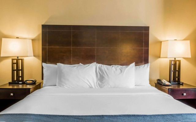 Comfort Suites  Pell CIty near Logan Martin Lake