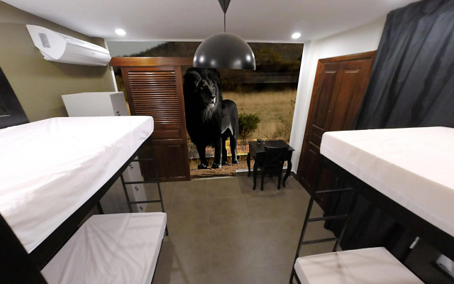 Aura Thematic Hostel