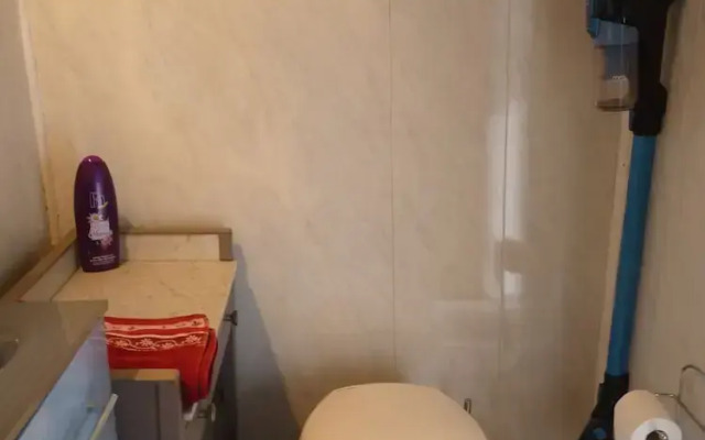 L'Arum Antique