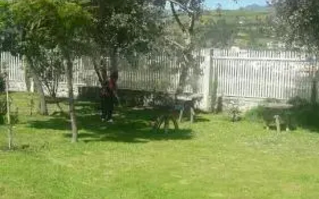 Tambo Koya