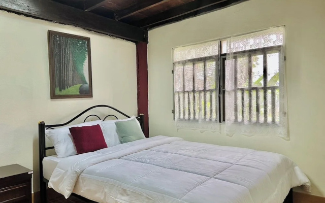 Cozy nest CNX