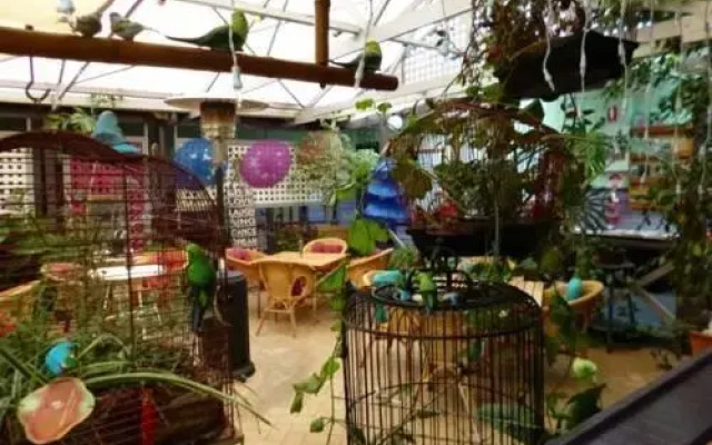Albany Discovery Inn