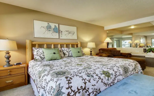 zRidge Condo 23