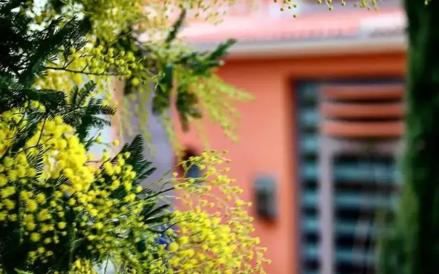 Thalassa Hotel