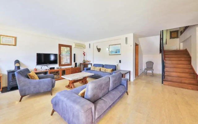 Zeytin Villa